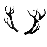 Void Antlers