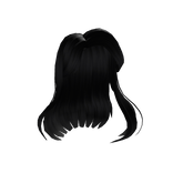 Voluminous Flowy Black  Hair