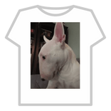 WALTER WALTER WALTER WALTER WALTER WALTER WALTER