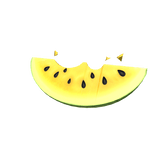 Watermelon-Yellow