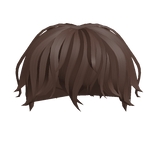 Wavy Messy Boy Hair in Brown