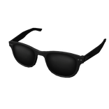 Wayfarer Sunglasses