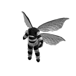 White and Black Bee Suit