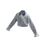 White & Blue Collar Shirt