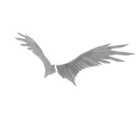 White Angel Wings