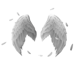 White Angel Wings