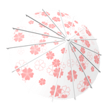White Blossom Oil Paper Umbrella