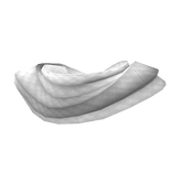 White Cozy Scarf (1.0)