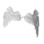White Descended Wings
