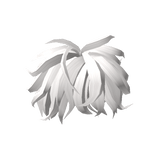 White Messy Hairstyle