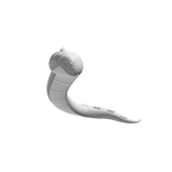 White Reptile Tail