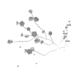 White Rose Branch Wings