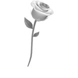 White Roses
