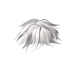 White Sharp Hairstyle