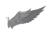 White Shoulder Wing (Left)