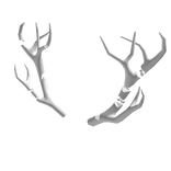 White Void Antlers