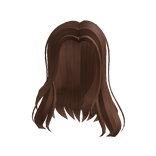 Windswept Hair in Brown