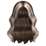 Two-Tone Messy Anime Hair (Brown & Blonde)