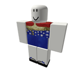 Wonder Women Costume