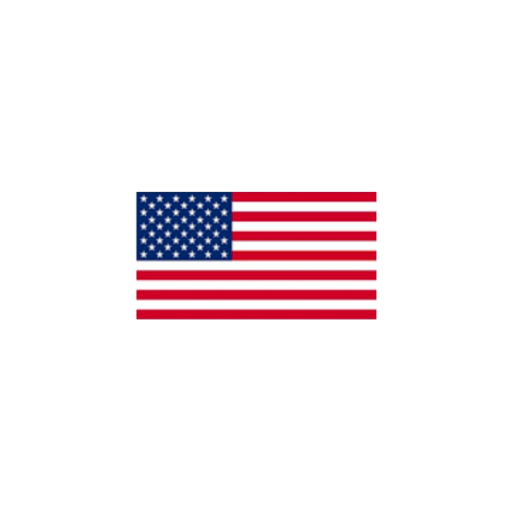 Tiny American Flag (transparent square)