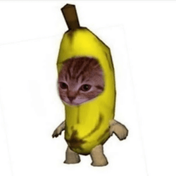 Page 23 Roblox Decal IDs Database Browse 3 000 Image IDs 2026 Xsmall Banana Cat 42cd15381f