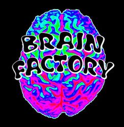 Brain Factory profile picture