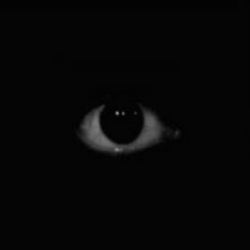 Scary Roblox image IDs - complete list (very spooky) | Roblox Den