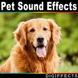 Digiffects Sound Effects Library profile picture