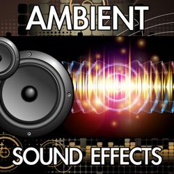 Finnolia Sound Effects profile picture
