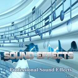 Professional Sound Effects Group profile picture