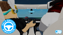 Self-Driving Simulator gallery
