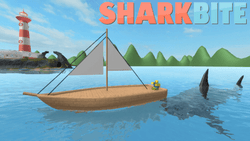 Sharkbite gallery
