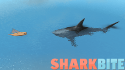 Sharkbite gallery