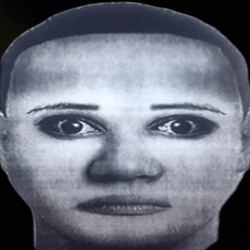 Page 20 - Roblox Decal IDs Database: browse 3,000+ image IDs (2025 ...