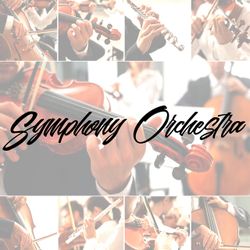 Symphony Orchestra profile picture